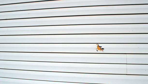Best Aluminum Siding Installation  in Biloxi, MS